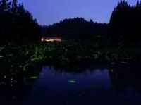 森吉 森のテラスの写真