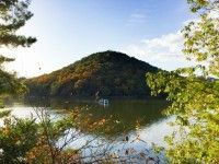 宝が池公園の写真
