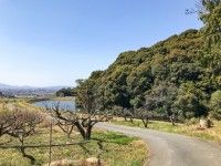 山の辺の道の写真