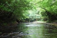 岳切渓谷の写真
