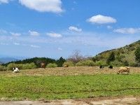 黒沢牧場（黒沢ハイランド）の写真