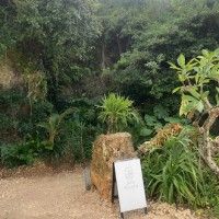 イキヅービーチの写真