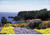 Izu Oceanic Park