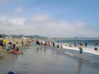 三浦海岸の写真
