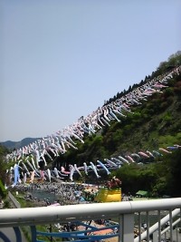 神流町鯉のぼり祭りの写真