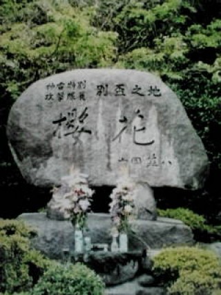 桜花の碑の写真