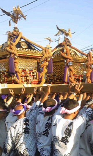 勝浦大漁祭り