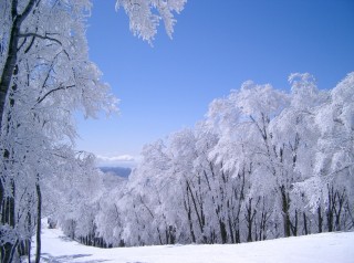 HAKUBA VALLEY 白馬コルチナスキー場