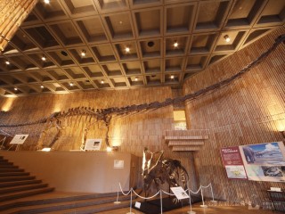 岩手県立博物館の写真
