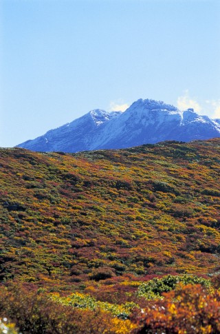 鳥海山の写真