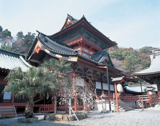 静岡浅間神社の写真