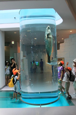 日本平動物園の写真