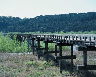 蓬莱橋の写真