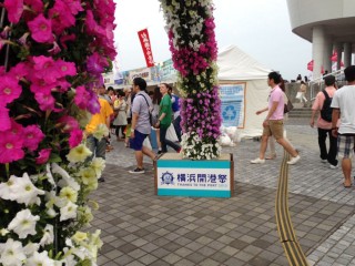 横浜開港祭の写真