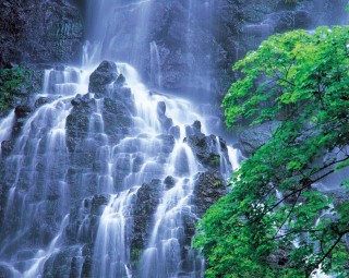 龍双ヶ滝の写真