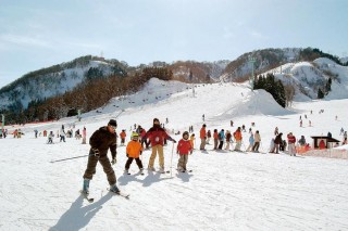 今庄365スキー場の写真