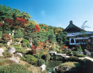 西福寺の写真
