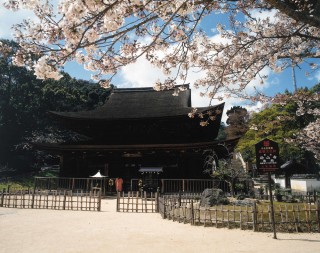 功山寺の写真