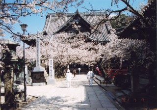 紀三井寺の写真