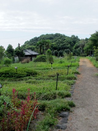 旧島原藩薬園跡