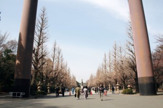 靖国神社の写真