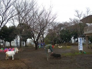 夢見ヶ崎動物公園の写真