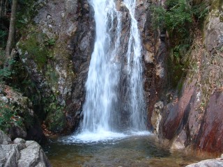 楊梅の滝の写真