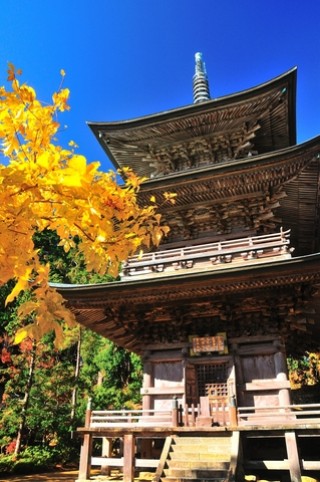 鶴林寺（徳島）の写真