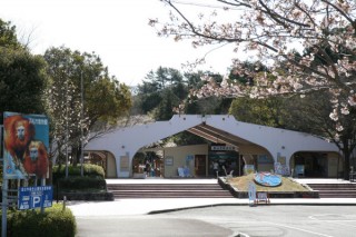 浜松市動物園の写真