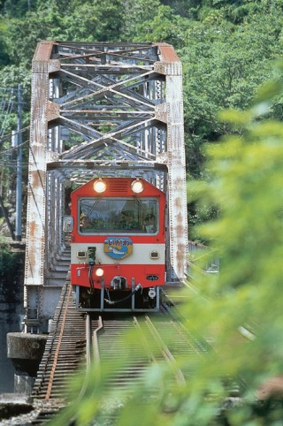 大井川鐵道トロッコ列車の写真
