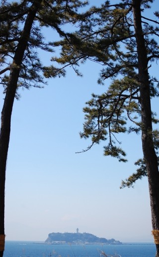 鎌倉海浜公園の写真