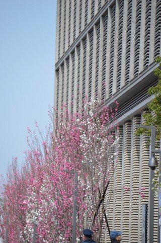 東京理科大学 葛飾キャンパスの写真