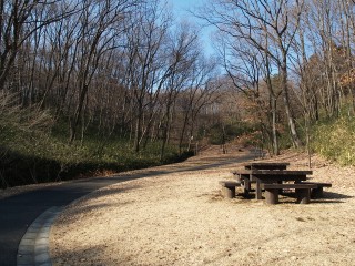 東京都立多摩丘陵自然公園の写真