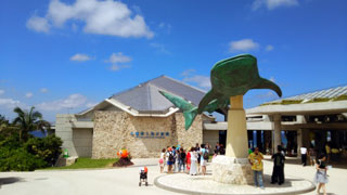沖縄美ら海水族館の写真