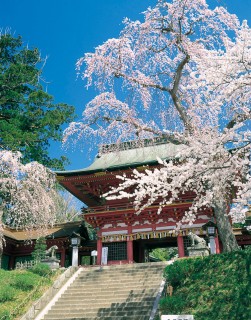 塩竈神社