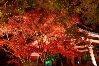 小松寺の写真