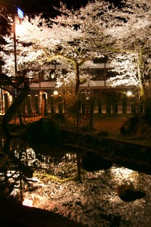 肥後一の宮阿蘇神社