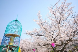 串山公園の写真