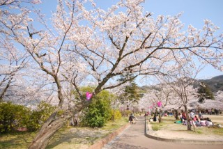 寺本公園の写真