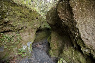 【閉鎖中】苔の洞門の写真