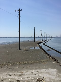 江川海岸の写真