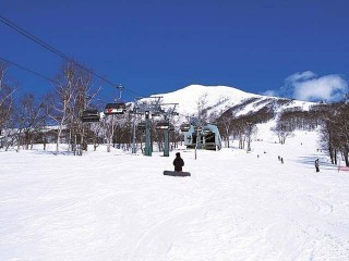 ニセコアンヌプリ国際スキー場の写真
