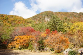 紅葉山公園（新潟）の写真