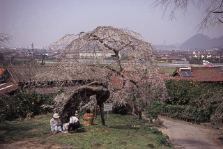 南明寺の写真