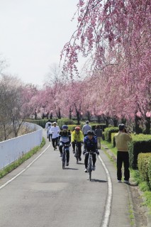 サイクリングロード（利根川自転車道線）の写真