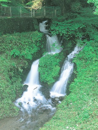 箱島湧水の写真