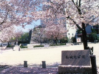 挙母城隅櫓跡（桜城）の写真