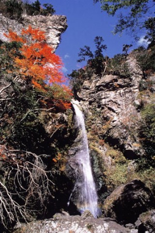 大荒の滝の写真