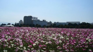 キリンビール福岡工場の写真