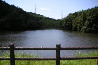 高尾山自然公園の写真